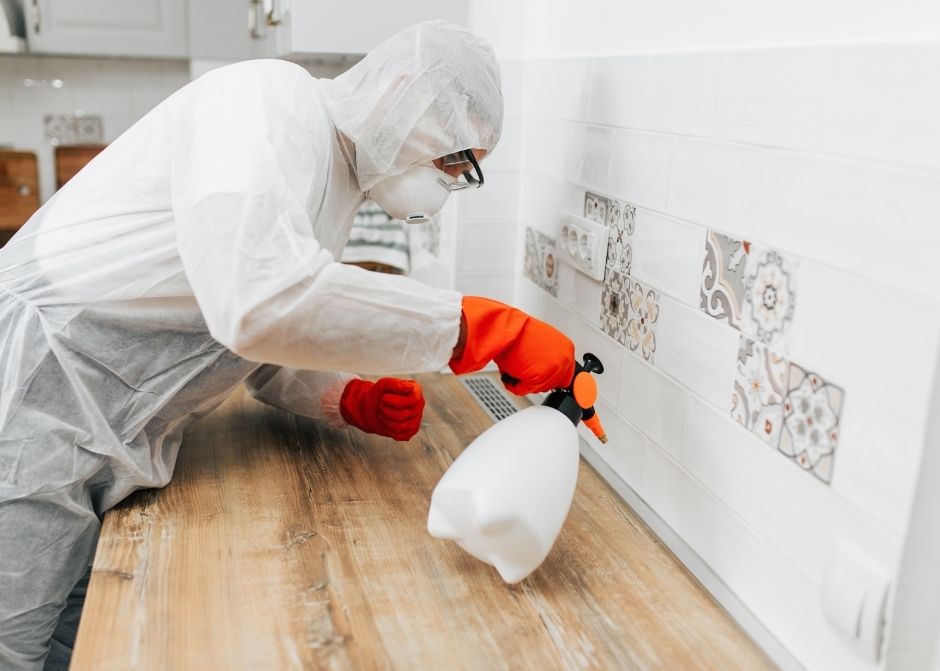 Davutlar Hamam Böceği İlaçlama