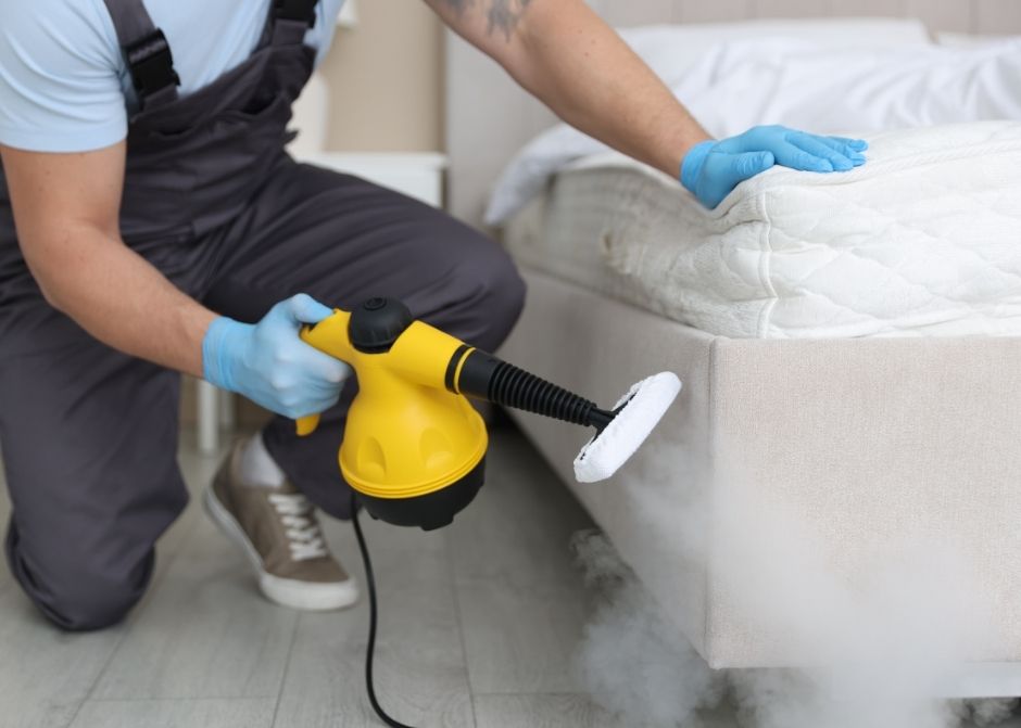 Davutlar Haşere İlaçlama